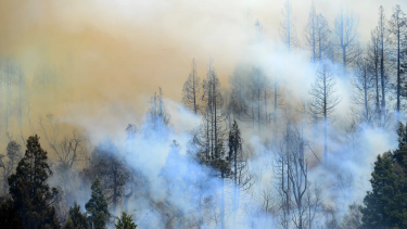 Puede aumentar el riesgo de incendio en Neuquén. Archivo/ Chino Leiva