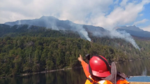Imagen de Declararon la emergencia ígnea en Río Negro por riesgo extremo de incendios en una semana de ola de calor
