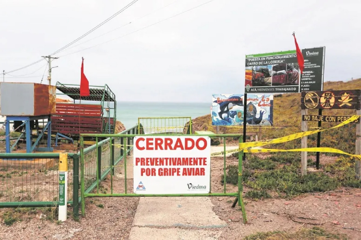 Se mantiene cerrada la playa La Lobería, la única en la costa de Río Negro. Foto Archivo