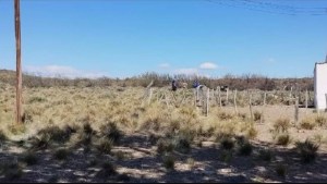 Hoy reconstruyen la muerte del soldado en Zapala: las expectativas de la madre