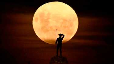 Puerto Madryn: buscaba el mejor ángulo para fotografiar la luna llena y mirá lo que encontró…