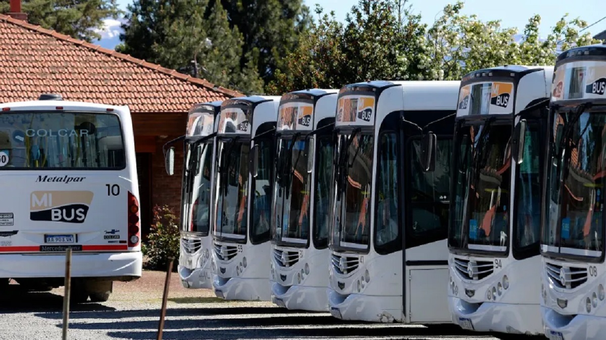 Alta preocupación de Cortés por el futuro del transporte público en ...