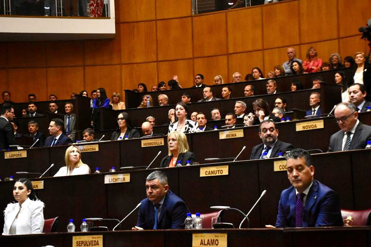 La nueva composición legislativa, con 14 diputados del frente Neuquinizate. Foto: Matías Subat.
