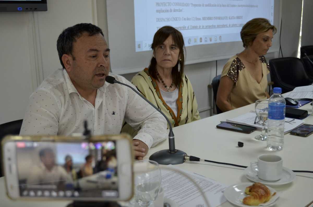 El vicerrector de la Universidad Nacional del Comahue, Paul Osovnikar, afirmó que la situación es crítica. (Foto: Gentileza Prensa UNC)