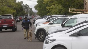 Río Negro fijó el interés de agosto para los impuestos inmobiliario y automotor