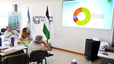 Vaisberg en su última presentación ante los legisladores rionegrinos. Foto: Marcelo Ochoa.