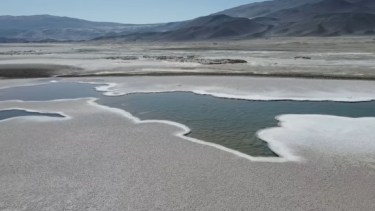 Los estromatolitos modernos todavía existen en la Tierra. 