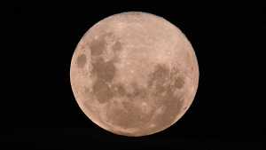 Última luna llena del 2023, la «Luna fría»: los mejores horarios para verla este miércoles