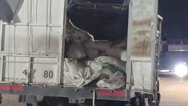 El camión había partido horas antes de Bahía Blanca y tenía como destino Roca y Cipolletti. foto: gentileza.