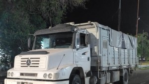 Entre semillas transportaba 3.000 kilos de carne con hueso que iban por la Ruta 22 a Roca y Cipolletti