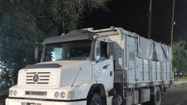 Entre semillas transportaba 3.000 kilos de carne con hueso que iban por la Ruta 22 a Roca y Cipolletti