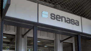 Quién es Pablo Cortese, el ingeniero agrónomo que estará al frente del Senasa con el gobierno de Milei