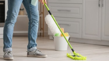 Las empleadas domésticas verán modificado el régimen de licencias por maternidad.-