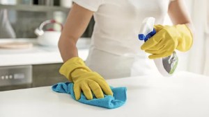 Empleadas domésticas: Qué pasa con el aguinaldo de diciembre, tras la asunción de Milei