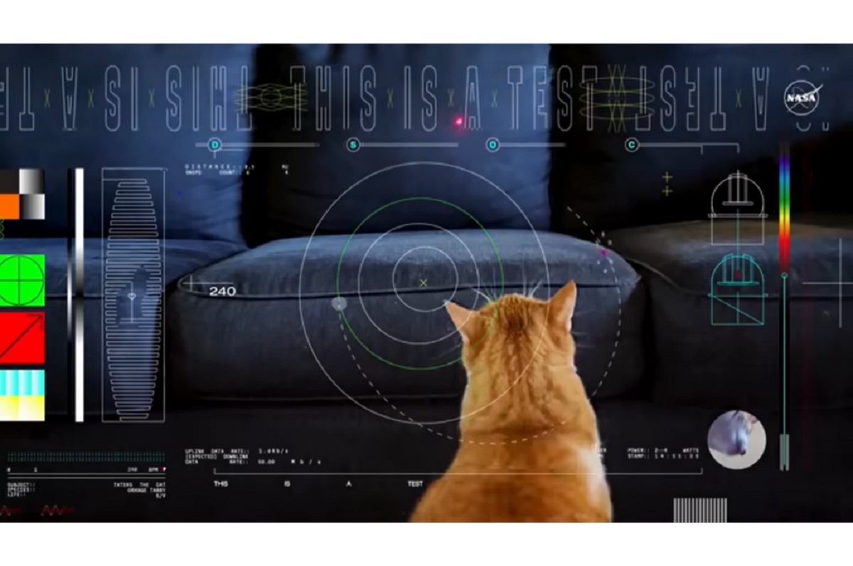 La NASA envió un video protagonizado por un gato llamado Taters desde el espacio profundo. Foto: JPLraw en Youtube.