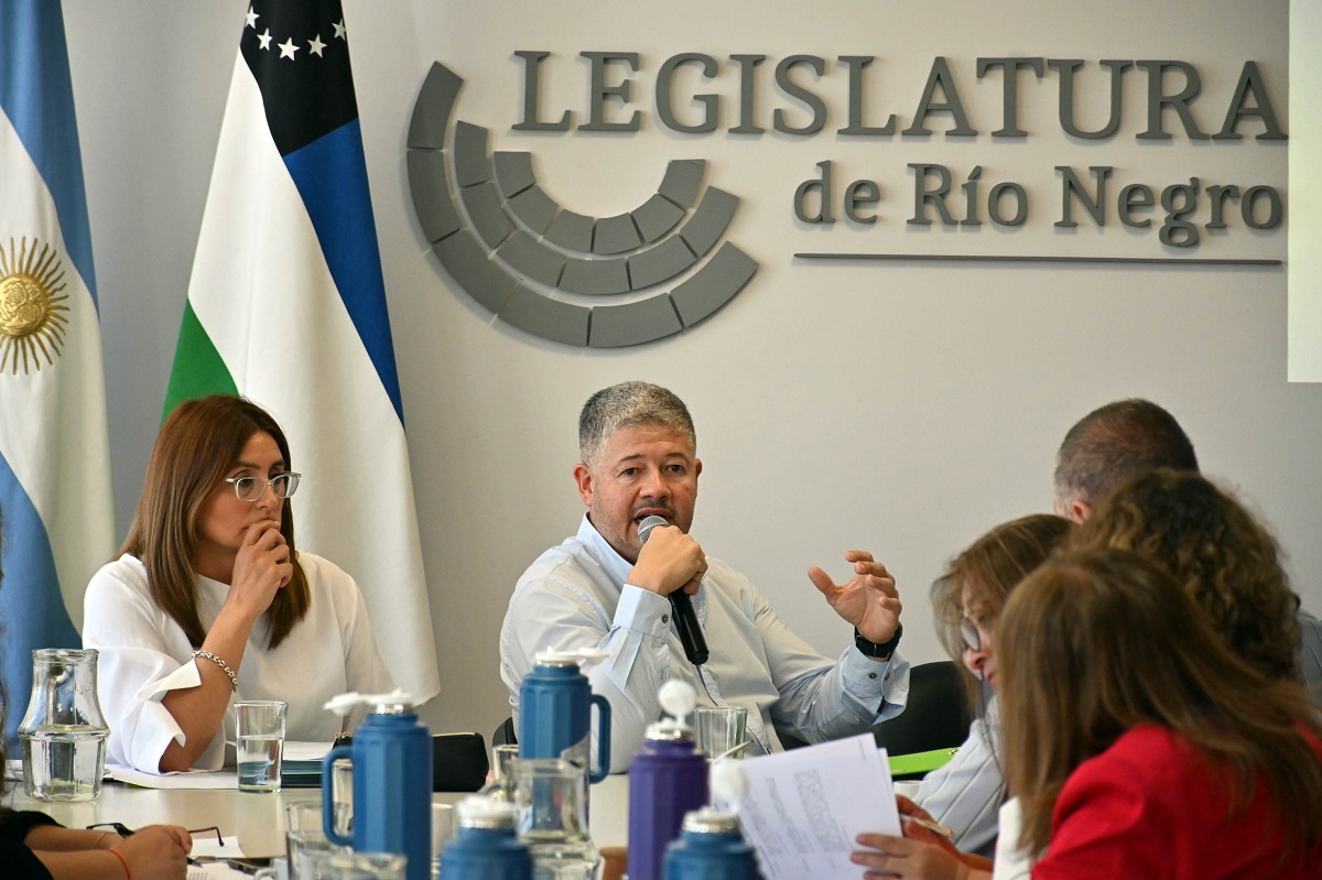 Luis Vaisberg sería el encargado de presentar en las comisiones legislativa el proyecto de presupuesto para el año próximo. Foto: Marcelo Ochoa