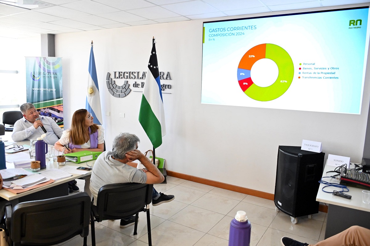 Vaisberg dio detalles acerca del presupuesto en comisiones.
Foto: Marcelo Ochoa