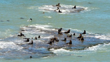 A partir del 1 de enero se llevará a cabo la apertura controlada. Foto archivo.