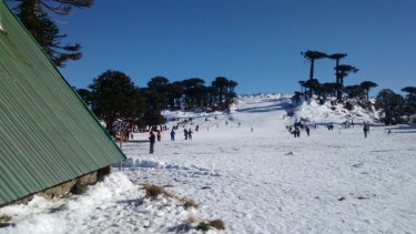 Primeros Pinos está a sólo 50 km de Zapala sobre la Ruta Provincial 13 y lo cerraron y desmantelaron en el 2020. 