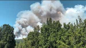 Incendio descontrolado en el Parque Los Alerces: «Fue claramente intencional» 