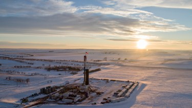 Estiman que la recuperación de los niveles de producción tardará semanas. Foto: gentileza. 
