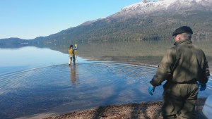Qué indican los monitoreos del alga Didymo en el parque Nahuel Huapi