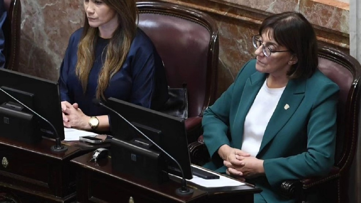 Mónica Silva propuso modificaciones que generan discusiones y desafíos para el oficialismo en el Senado. Foto Archivo.