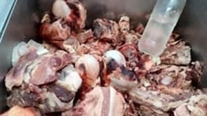Decomisaron más de 200 kilos de carne en mal estado en un supermercado de Cipolletti