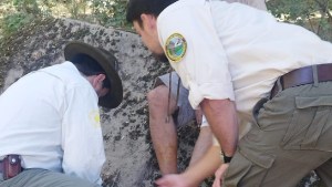 Un hombre desbarrancó con su moto en un reconocido mirador de San Martín de los Andes