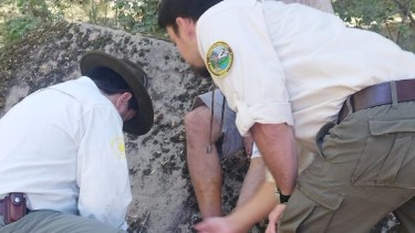 El incidente ocurrió en la zona del Mirador Bandurrias. Foto: Gentileza.