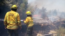 Imagen de Video | Impactante incendio en Fernández Oro: bomberos combatieron el fuego durante 7 horas