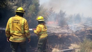 Video | Impactante incendio en Fernández Oro: bomberos combatieron el fuego durante 7 horas