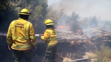 Video | Impactante incendio en Fernández Oro: bomberos combatieron el fuego durante 7 horas
