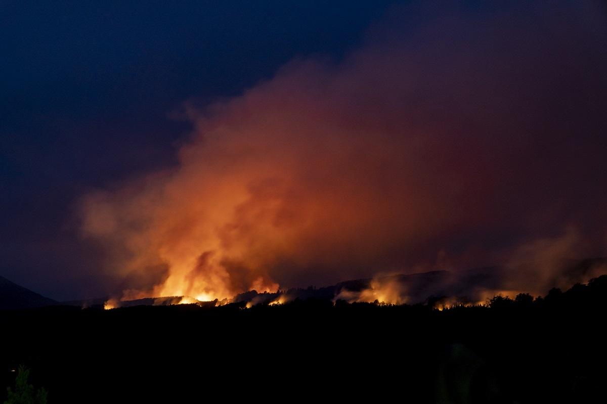 El fuego ya arrasó con más de 1.000 hectáreas. Foto: Marcelo Martinez
