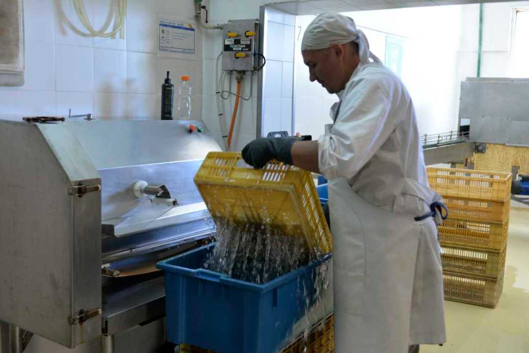 De una huerta patag&oacute;nica a una pyme gourmet con alcance nacional e internacional