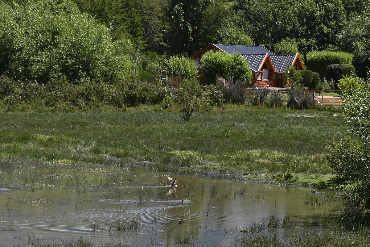 Ambientalistas esperan cambios en la política municipal de Bariloche