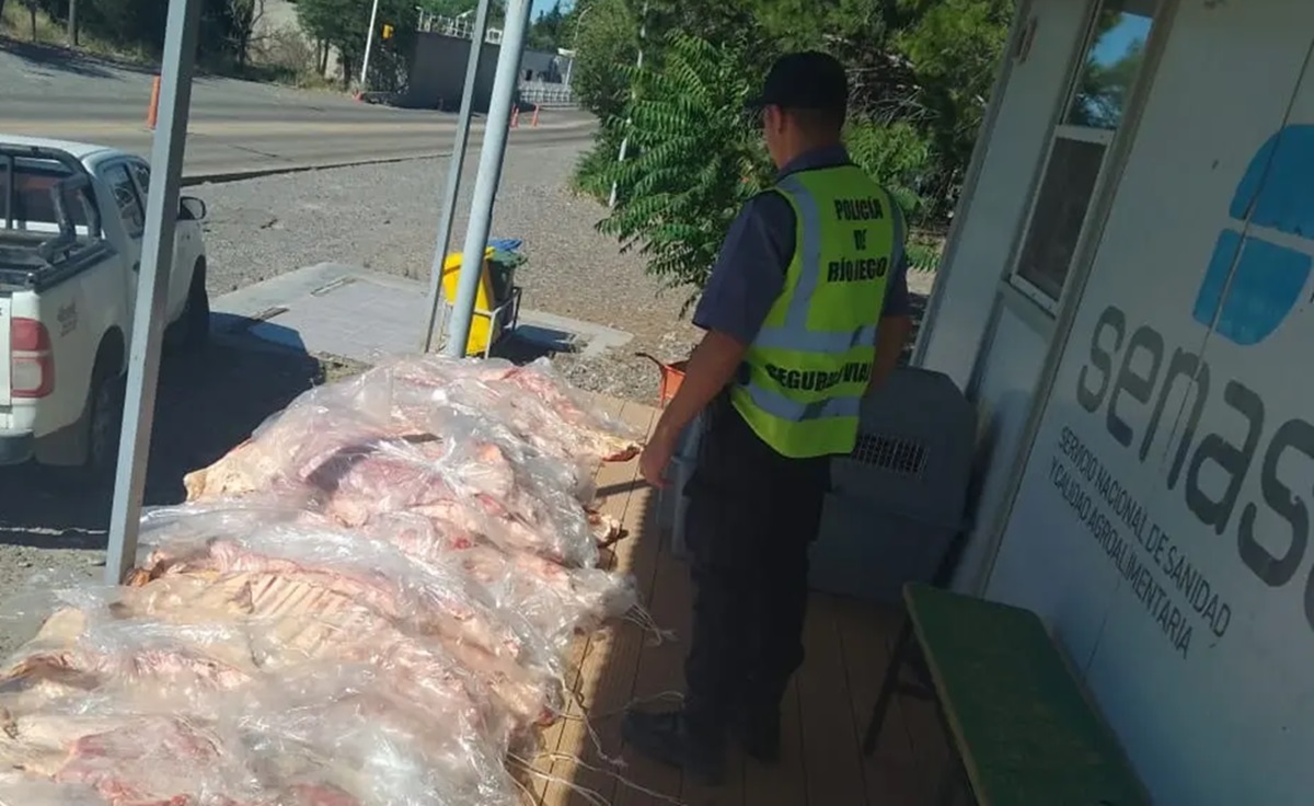 Decomisaron 460 kilos de carne con hueso en Catriel. Foto: gentileza