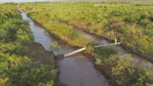 Volvió la luz a Catriel luego de un día sin servicio