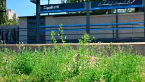 Promesa paralizada: dos años sin el Tren del Valle en Cipolletti y una espera que no tiene fin