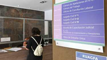 Dejó morir a su perra y la condenaron a donar alimentos a la protectora de animales de Cipolletti