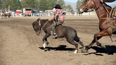 La Fiesta de la Cordialidad celebra las tradiciones. Foto: Chino Leiva