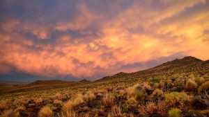 Paisajes e historias de la Línea Sur inspiraron a un cantautor de Roca: así surgió esta hermosa canción