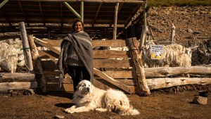 Al cuidar la fauna nativa, productores venden con mejores precios a nivel internacional 