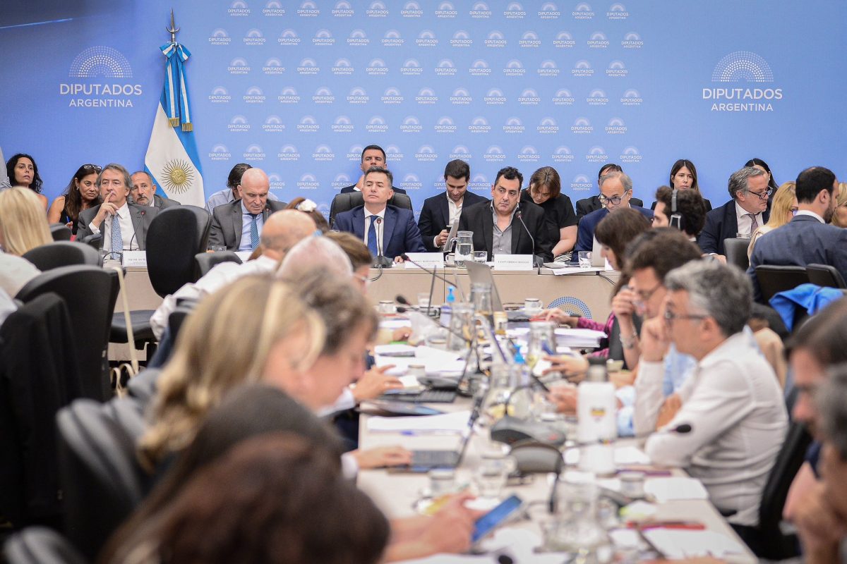 El oficialismo tiene los votos para aprobar la Ley Ómnibus de Milei ...