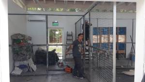 Milei: «Pronto mis hijitos vendrán a vivir a la Quinta de Olivos conmigo»