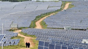 Energía solar: solo en 2023, China instaló más capacidad que toda la que tiene Estados Unidos