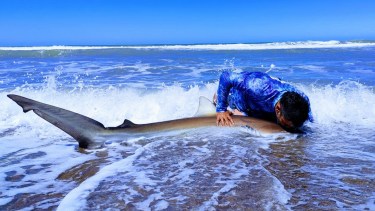 El fomento de prácticas pesqueras de marcado y devolución con vida colabora con la ciencia y ayuda a conservar la especie. Fotos: @leo.navarro77.