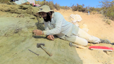 Nuevo descubrimiento sobre dinosaurios: tuvieron enfermedades que persisten hoy