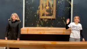 Sopa de calabaza en la Mona Lisa: ¿de qué tratan estas protestas ambientalistas?