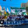 Imagen de Suspenden la marcha a la Ruta 22 en contra de la Ley Bases en Neuquén